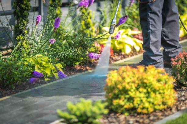 Trusted Mount Pulaski, IL Pressure Washing Experts